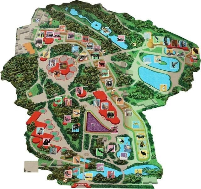 Kiewer Zoopark Karte